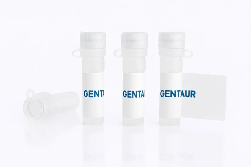 Biotin Conjugated Vicia villosa Lectin (Hairy Vetch) -VVA- 