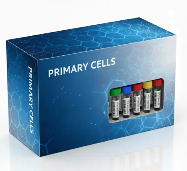 BioMag® SelectaPure anti-Mouse CD4