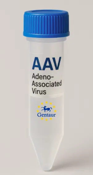 BVES AAV Vector (Rat) (CMV)